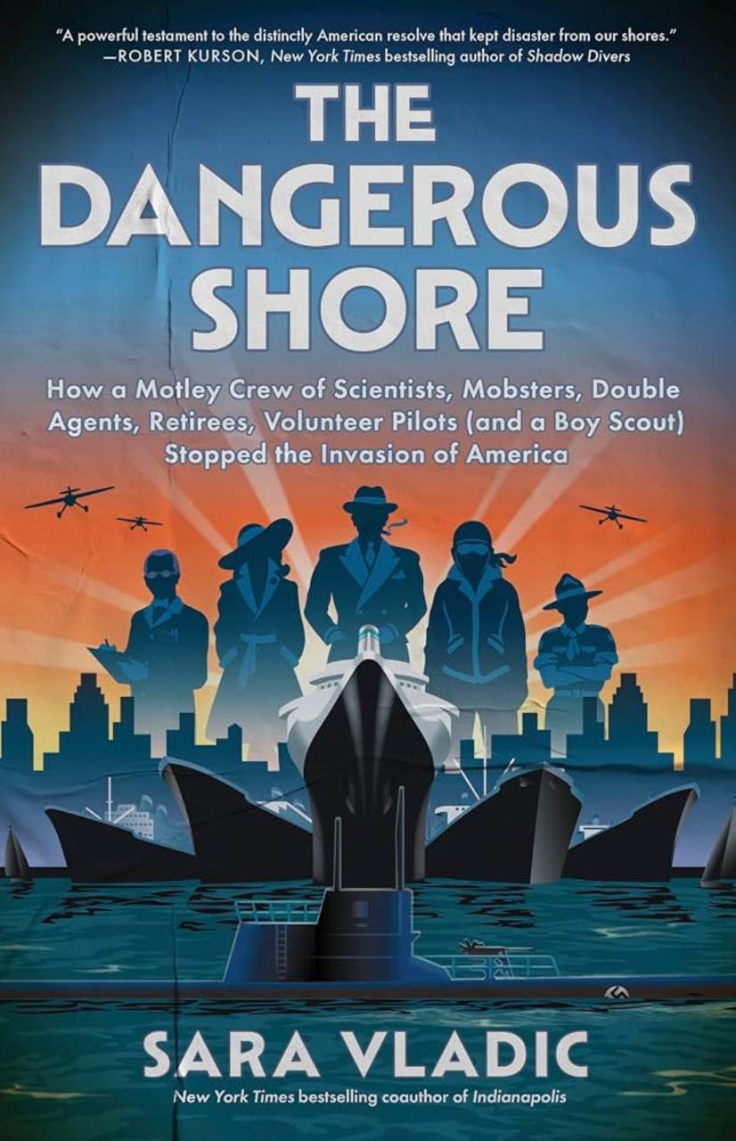 Cover of The Dangerous Shore by Sara Vladic